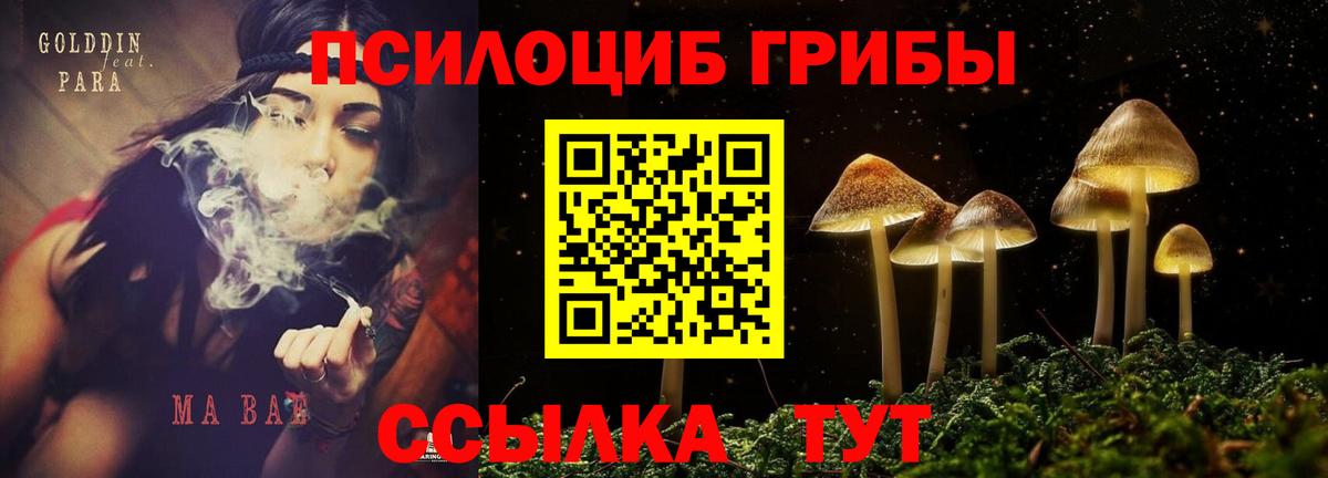 Псилоцибиновые грибы MAGIC MUSHROOMS  Вход с VPN  Псилоцибиновые грибы Cubensis  Ахтубинск 